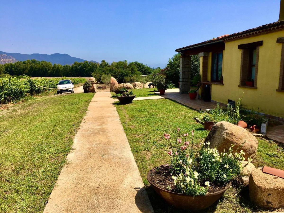I Carrubi Konuk evi San Priamo Dış mekan fotoğraf