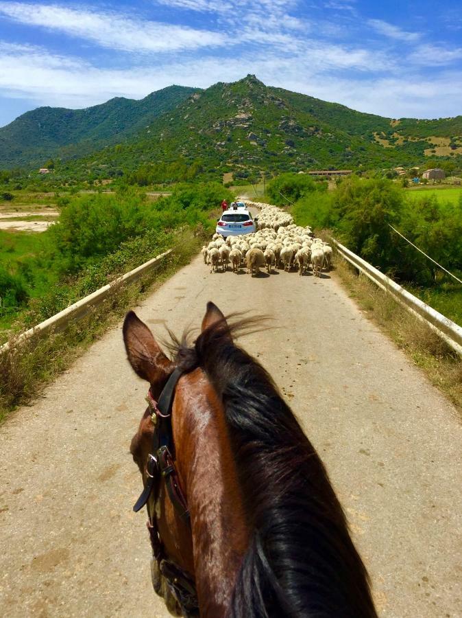 I Carrubi Konuk evi San Priamo Dış mekan fotoğraf